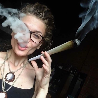 Cannabis Preroll: Guia da Indústria para Fabricantes e Varejistas (2025)